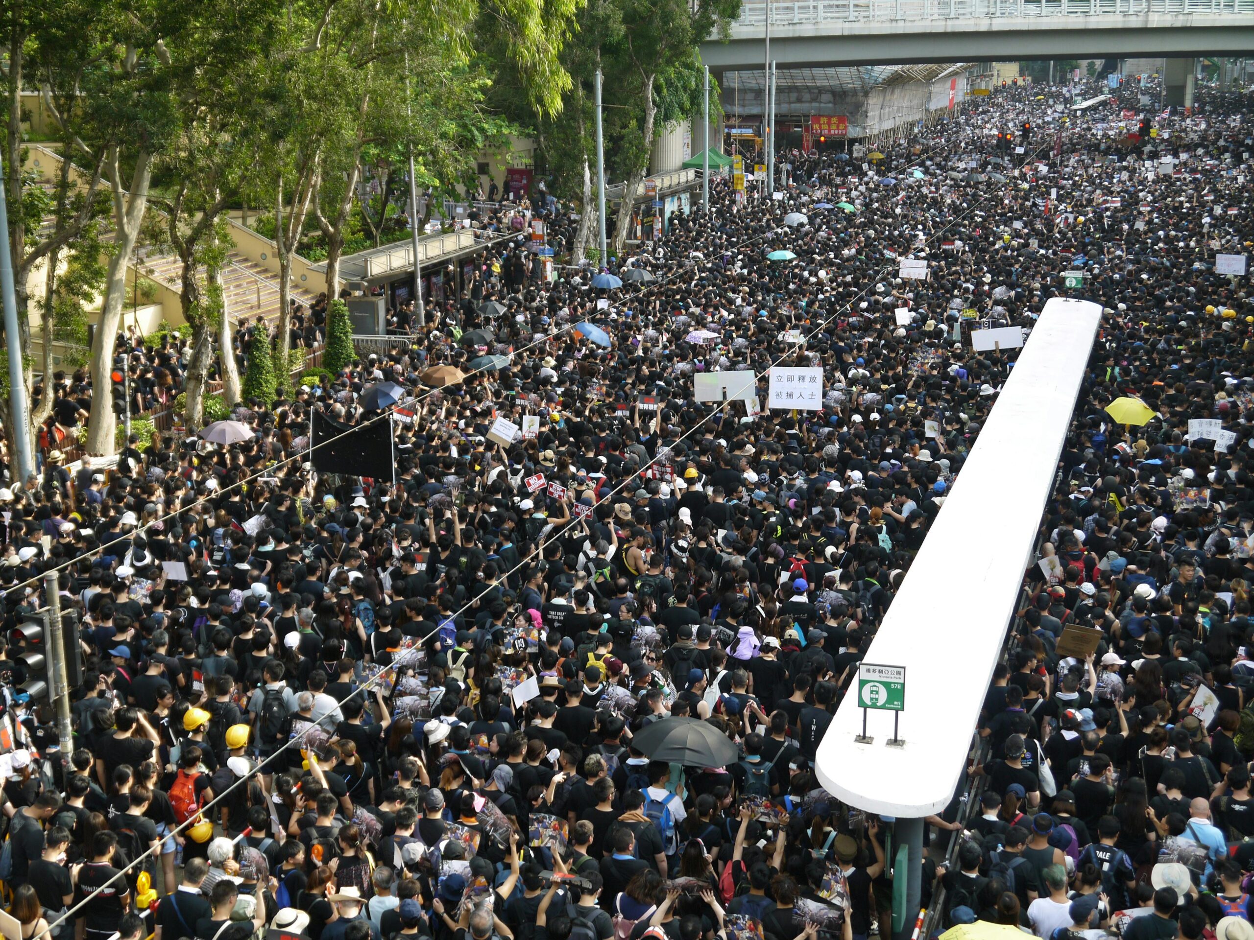 traffic tms crowd